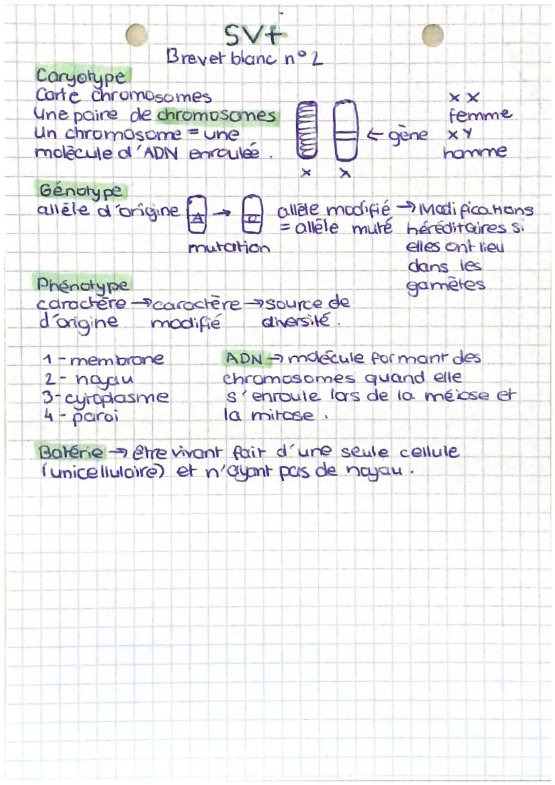 SV+
Brevet blanc n°2
Caryotype
Carte chromosomes
Une paire de chromosomes
Un chromosome = une
molecule d'ADN enroulée.
Phénotype
caractere
d