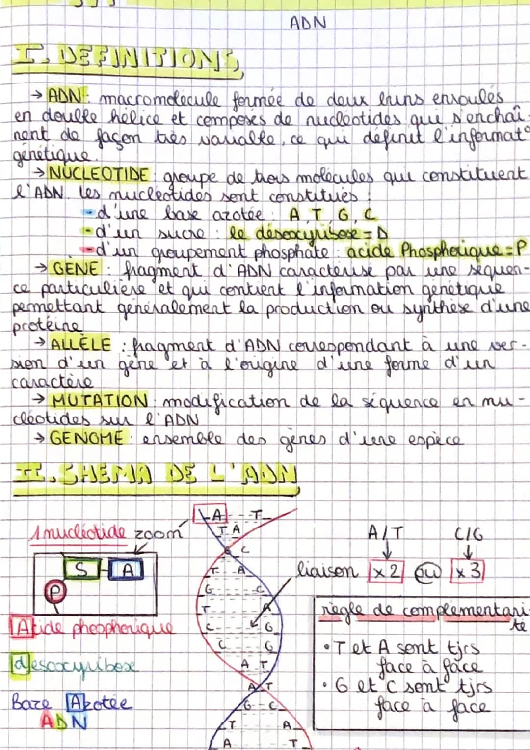 I
DEFINITIONS
→ ADN : macromolecule formée de deux brins enroules
en double hélice et composes de nucleotides que
senchai
nent de façon très