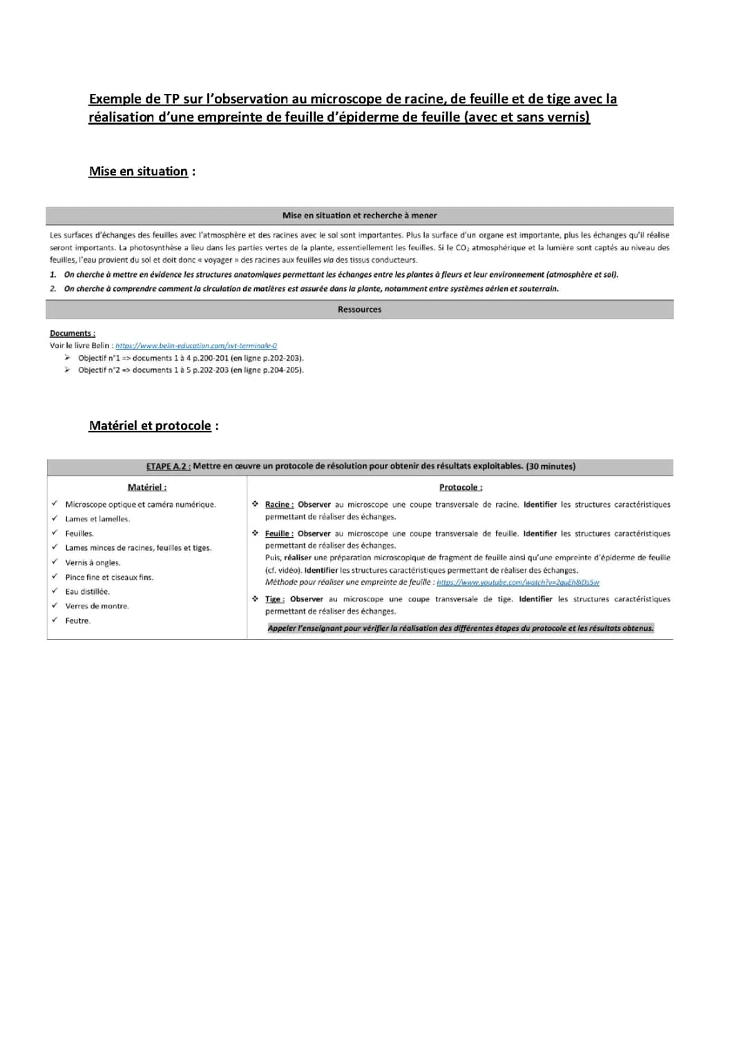 TP empreinte d'une feuille
