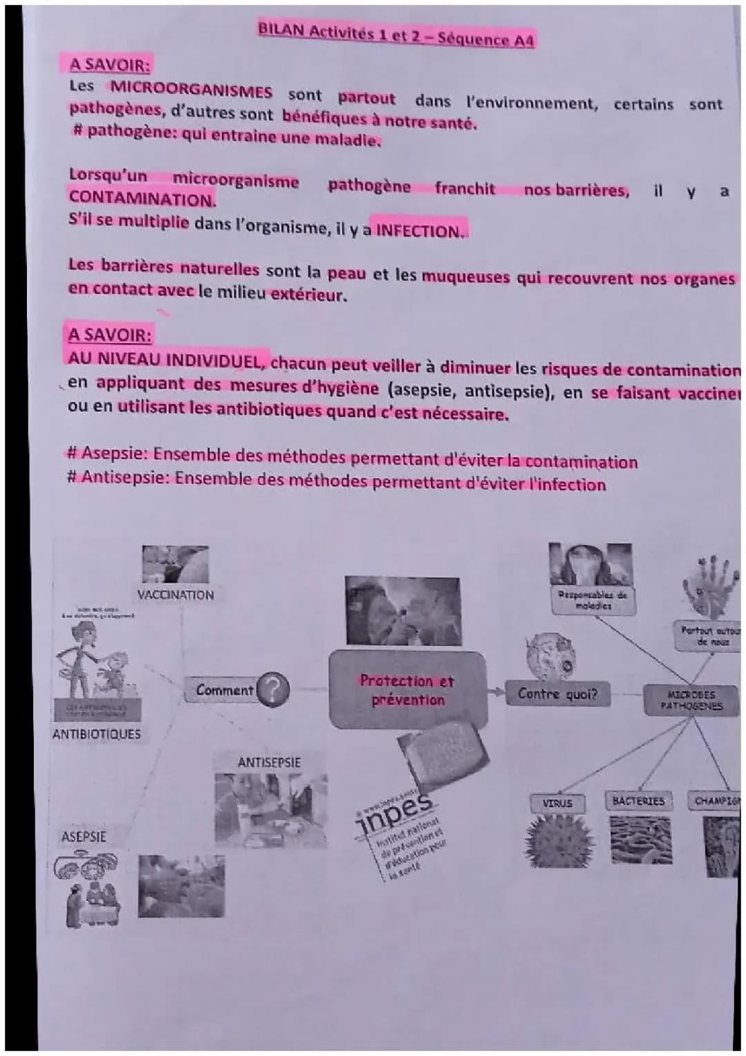 Les défenses immunitaires SVT 3e