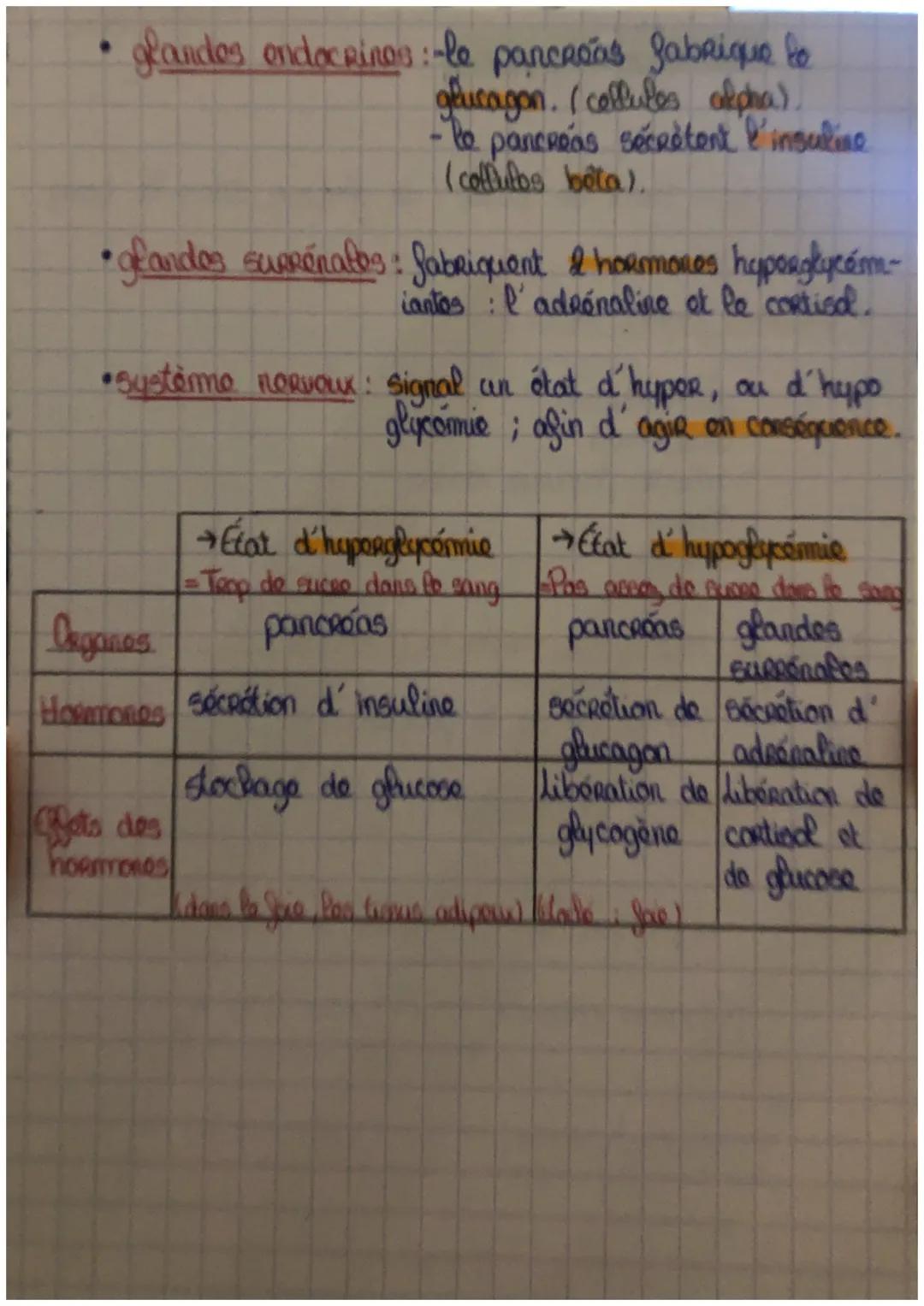 → La glycémie :
Bloc 1
•lycémie : taux de sucre / de glucose dans le sang.
→Jacteues faisant variga:
- alimentation
- traitement
- activité 