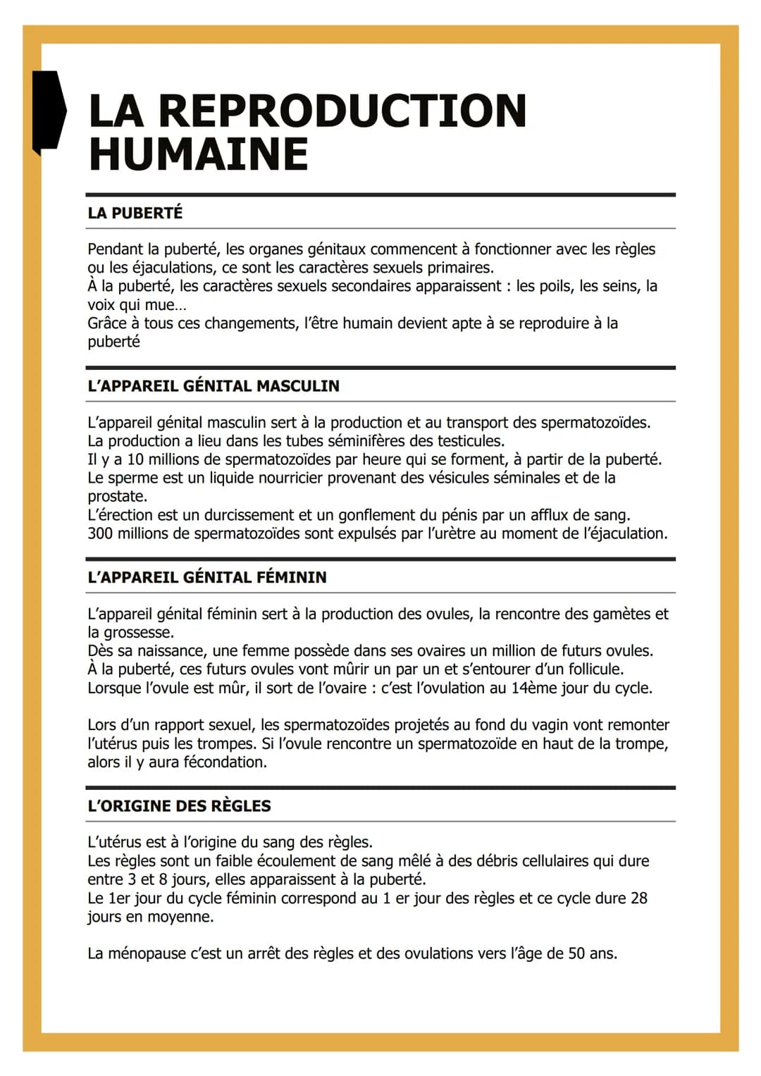 LA REPRODUCTION
HUMAINE
LA PUBERTÉ
Pendant la puberté, les organes génitaux commencent à fonctionner avec les règles
ou les éjaculations, ce