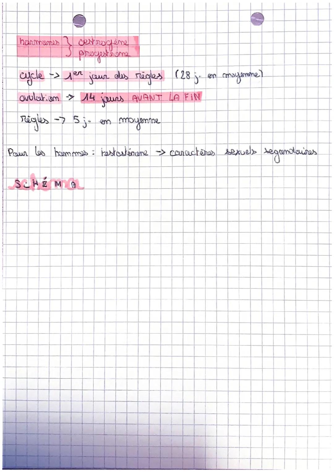 اعلوه
DEFINITIONS
puberts: periode de la vie pendant laquelle le corps
olevient aple à la
reproduction.
canachènes sexuels scandalines: cara
