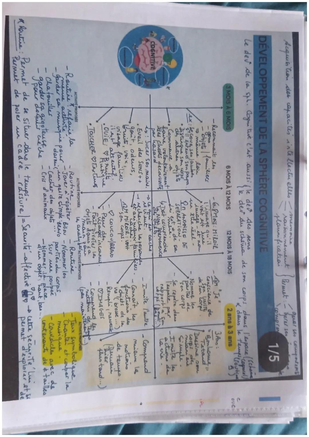 DÉVELOPPEMENT DE LA SPHÈRE MOTRICE
Equilibre
3 MOIS À 6 MOIS
motricita globale
Developement de la postune
I l'abilete de la mains
motriata g