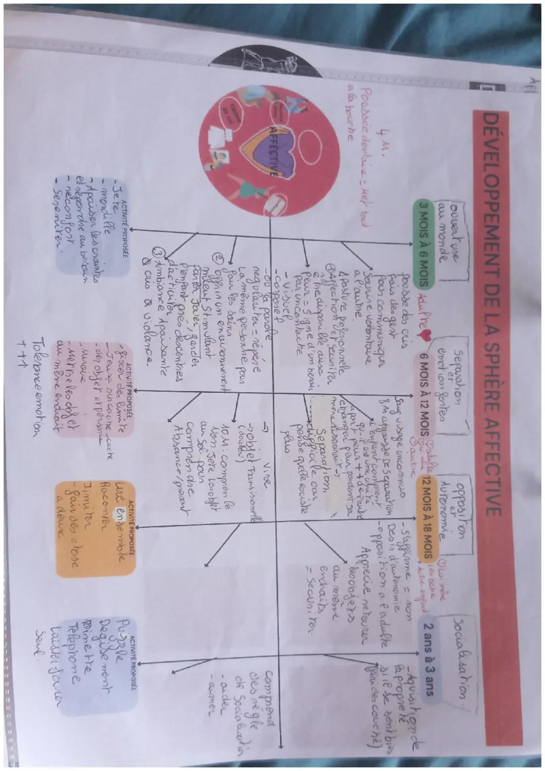 DÉVELOPPEMENT DE LA SPHÈRE MOTRICE
Equilibre
3 MOIS À 6 MOIS
motricita globale
Developement de la postune
I l'abilete de la mains
motriata g