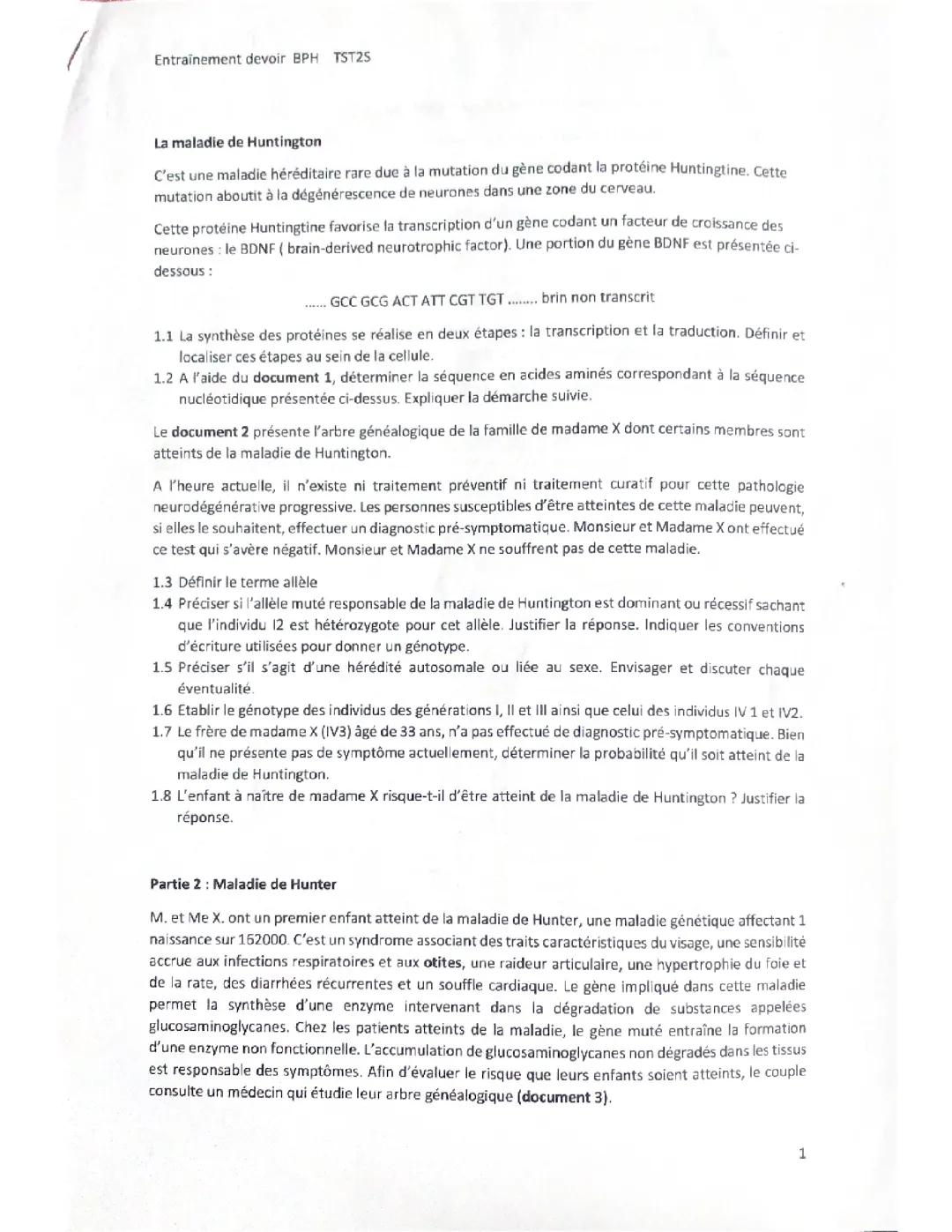 Entraînement devoir BPH ; expression et transmission de l’information génétique 