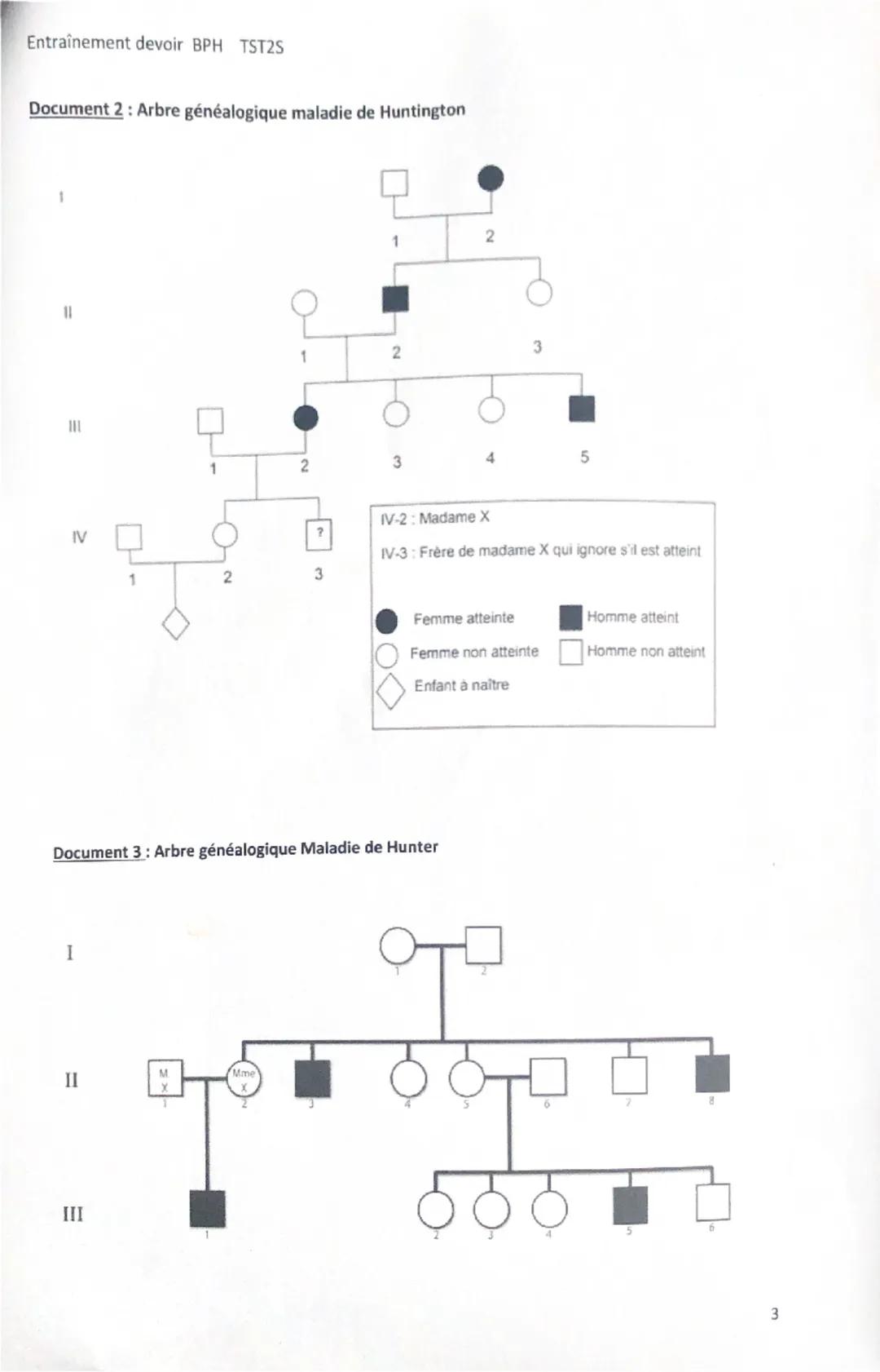 Entraînement devoir BPH TST2S
La maladie de Huntington
C'est une maladie héréditaire rare due à la mutation du gène codant la protéine Hunti
