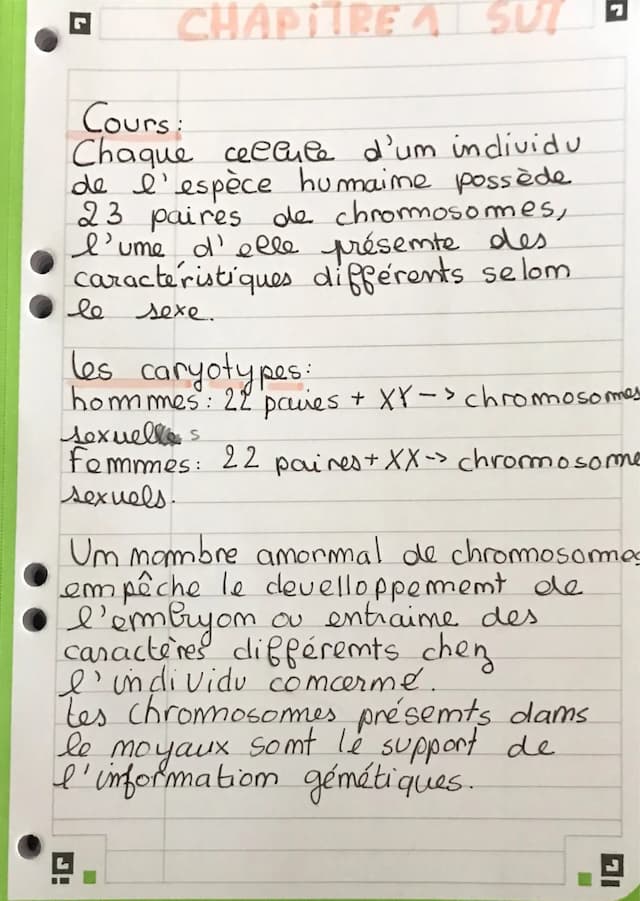 Know Fiche de révision sur les chromosomes  thumbnail