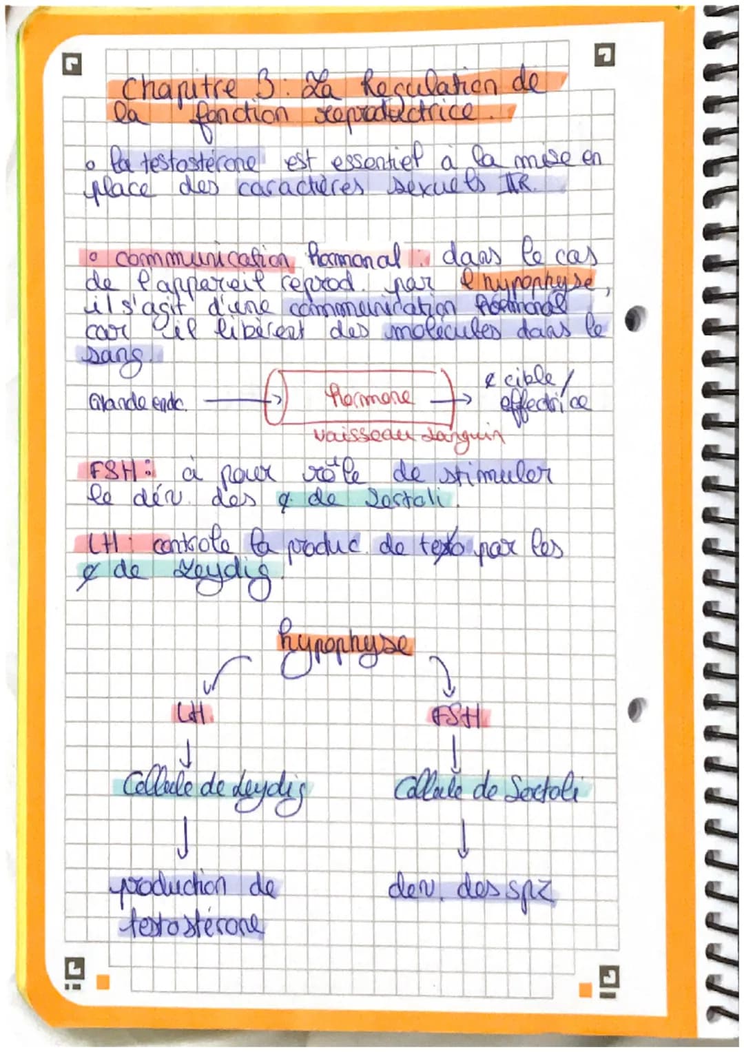 G
Chapitre 3: La Reculation de
fonction seeproductrice
I
la
。 la testosterone est essentiel à la mise en
place des caractères sexuels AR.
To