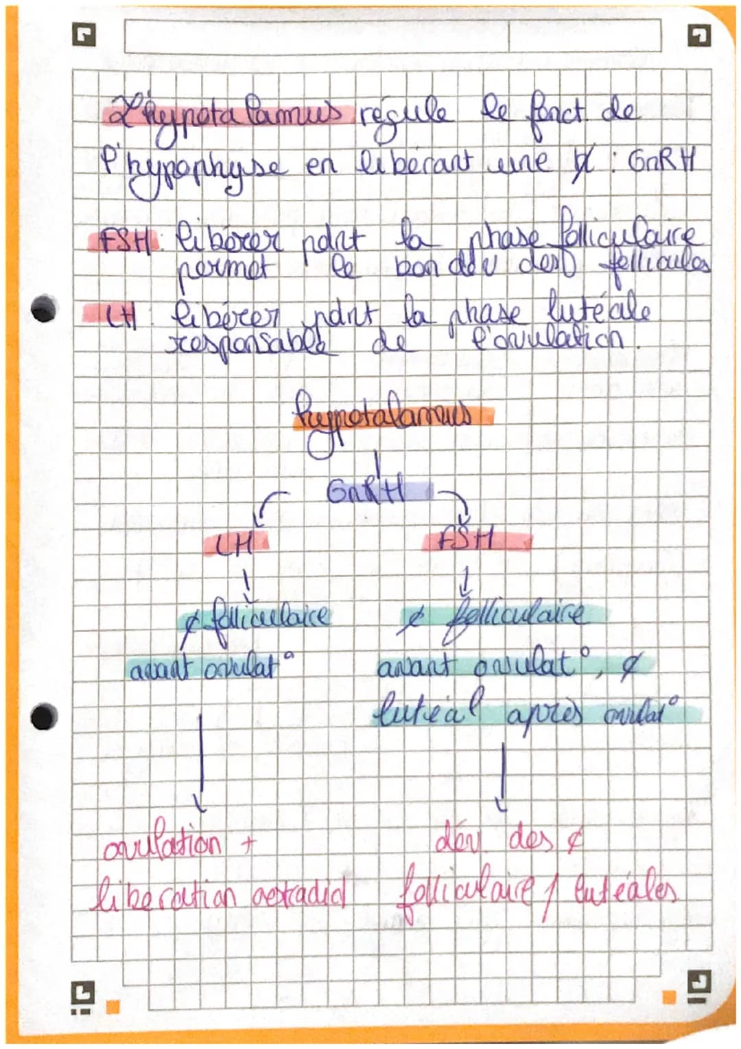 G
Chapitre 3: La Reculation de
fonction seeproductrice
I
la
。 la testosterone est essentiel à la mise en
place des caractères sexuels AR.
To