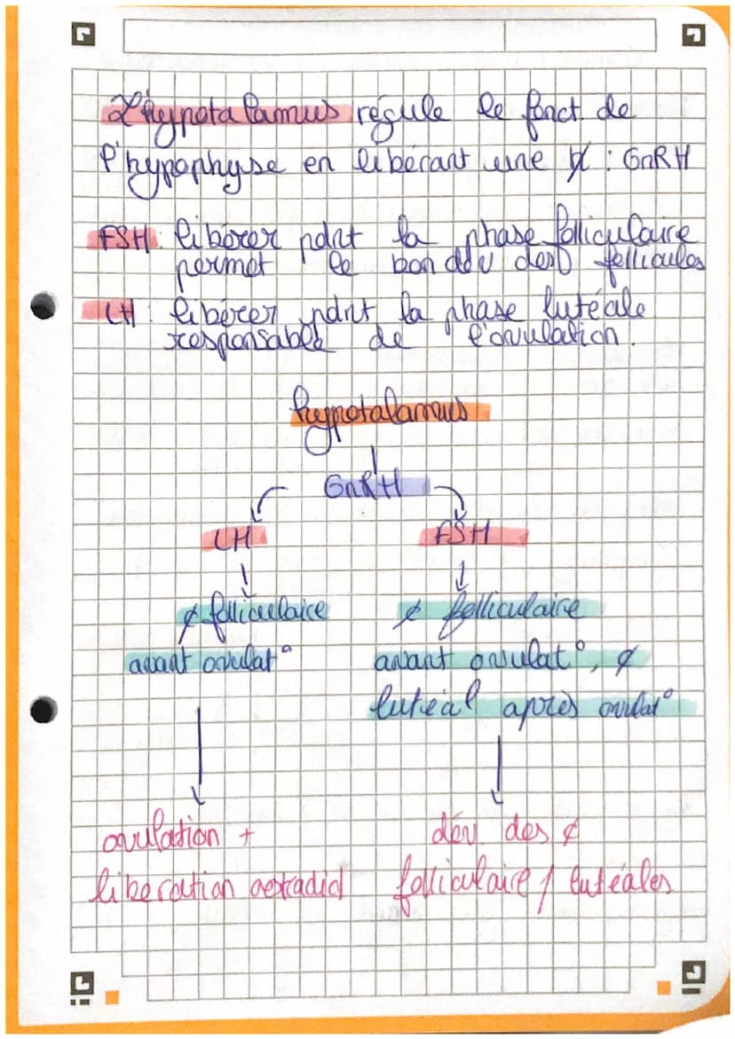 G
Chapitre 3: La Reculation de
fonction seeproductrice
I
la
。 la testosterone est essentiel à la mise en
place des caractères sexuels AR.
To