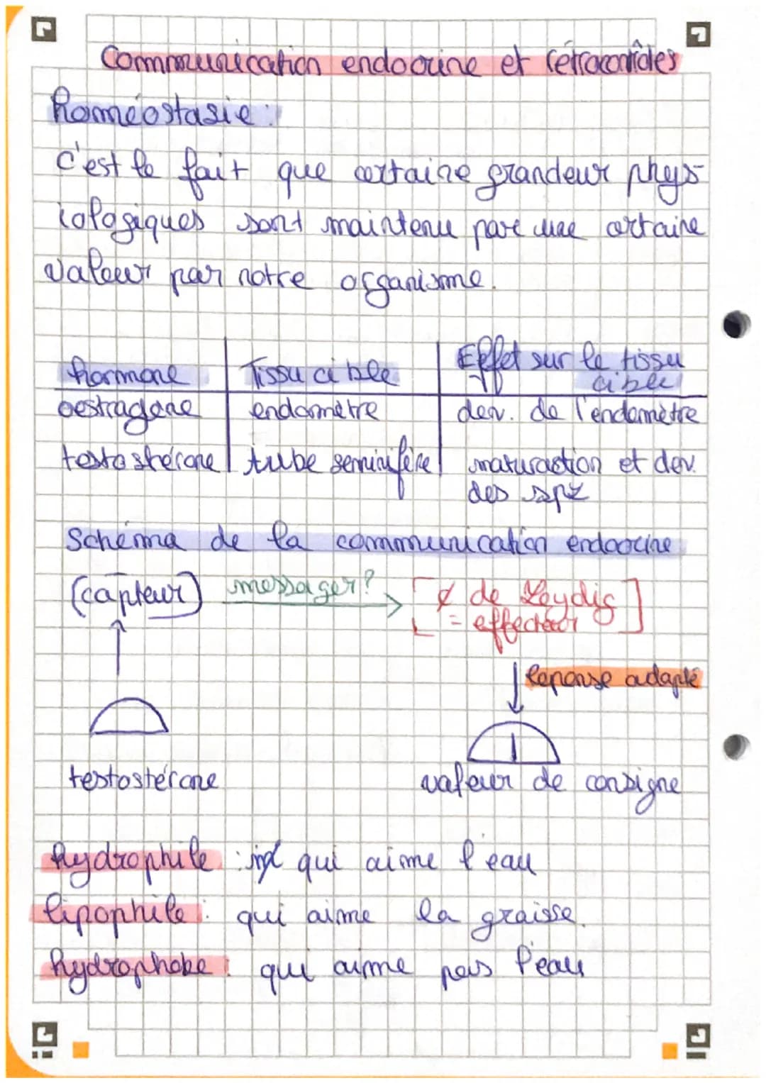 G
Chapitre 3: La Reculation de
fonction seeproductrice
I
la
。 la testosterone est essentiel à la mise en
place des caractères sexuels AR.
To