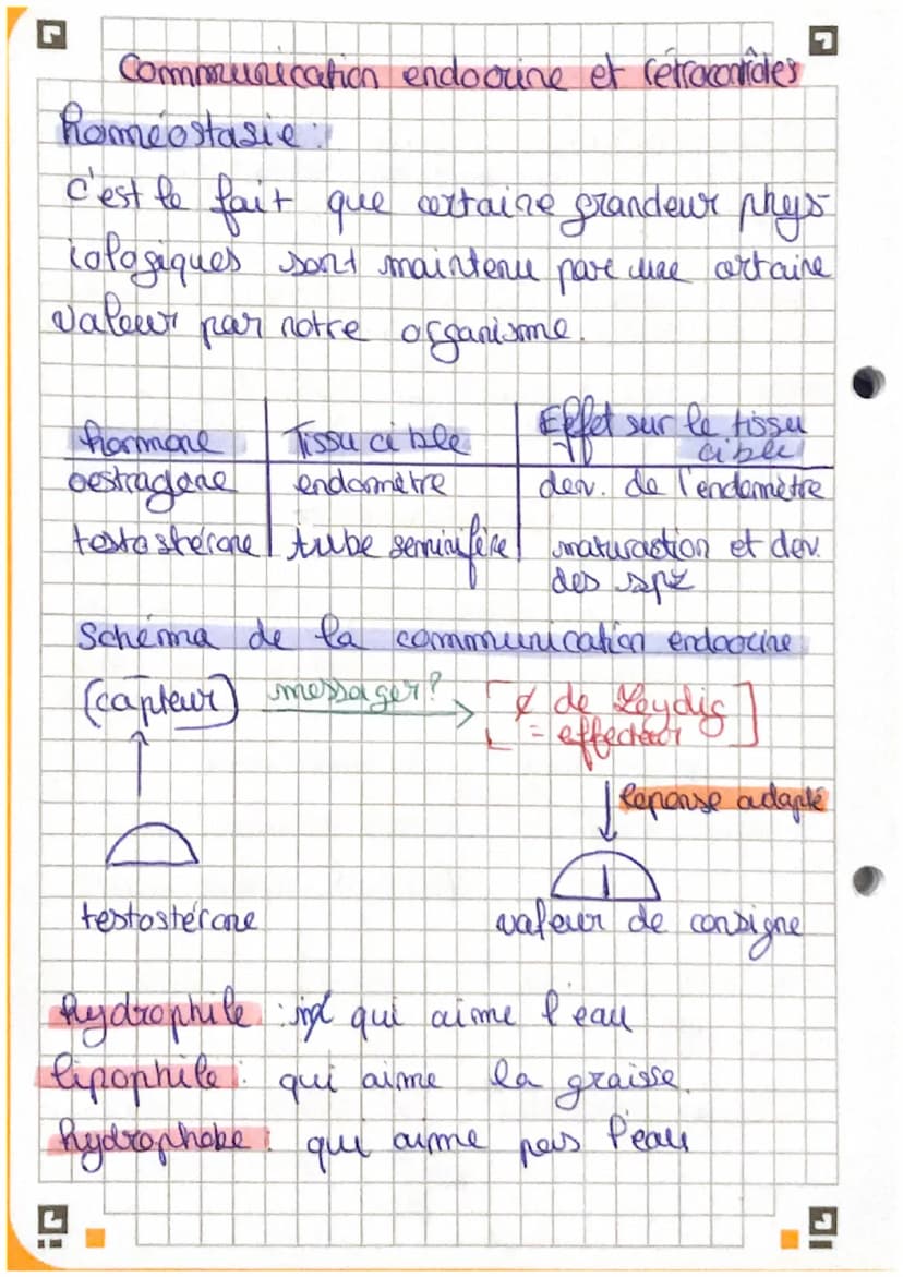 G
Chapitre 3: La Reculation de
fonction seeproductrice
I
la
。 la testosterone est essentiel à la mise en
place des caractères sexuels AR.
To