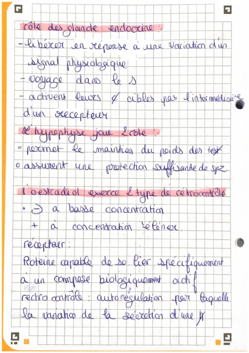 G
Chapitre 3: La Reculation de
fonction seeproductrice
I
la
。 la testosterone est essentiel à la mise en
place des caractères sexuels AR.
To