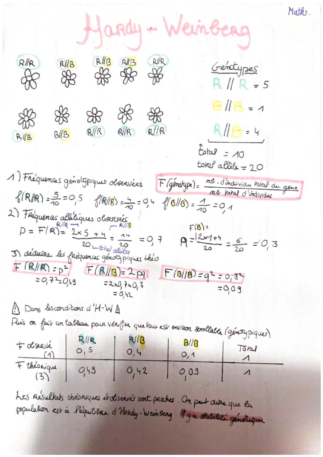 RI/R
RIB
R//B
B/B
Hardy - Weinberg
4
RB RIB RR
R//R
2
Ғ obseave
F théorique
(3)
2) Fréquences alléliques observées
RIB
P = F/R) = 2x5 + 4 = 