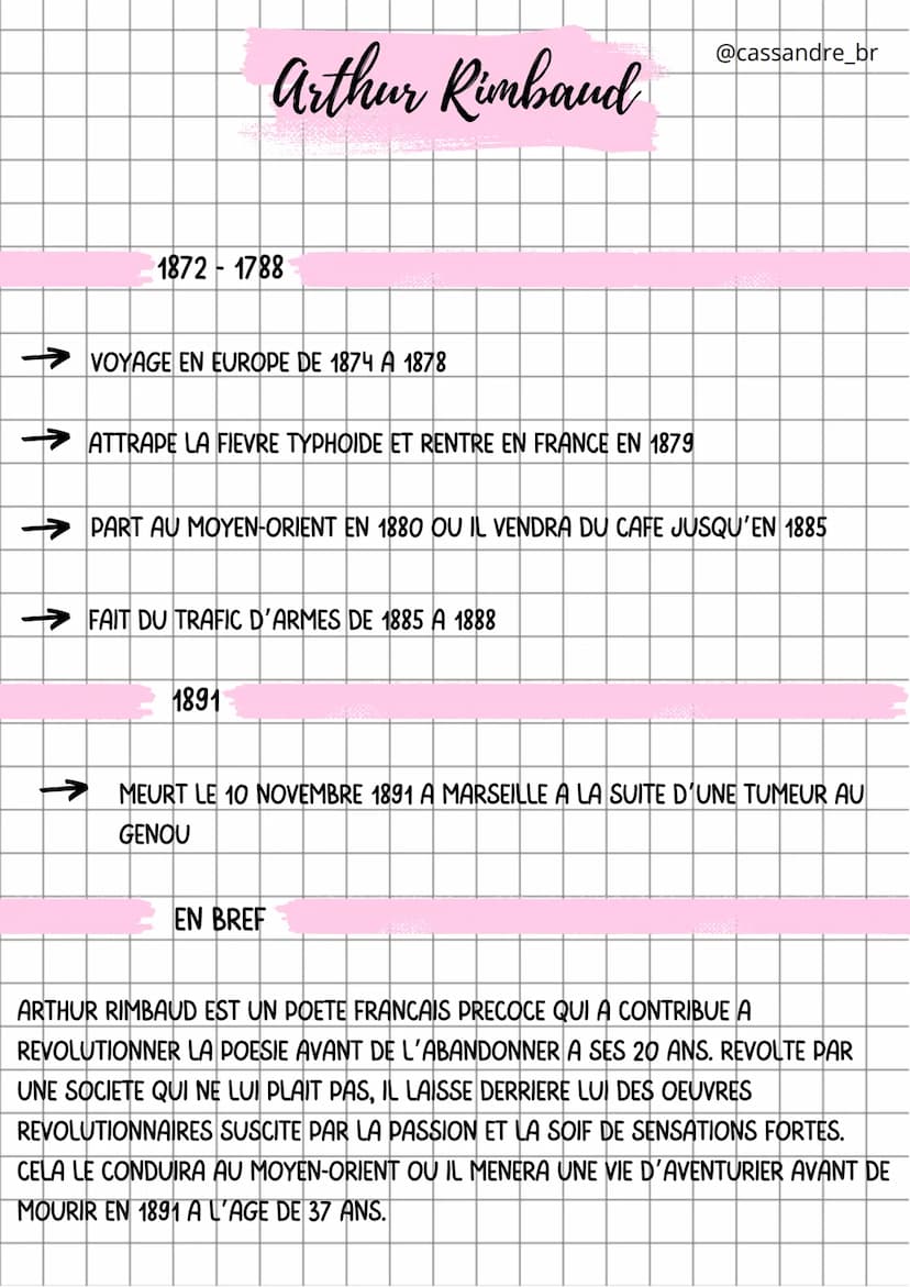 Arthur Rimbaud
ENFANCE
→ELEVE BRILLANET PRECOCE, IL REMPORTE SON PREMIER PRIX EN 1869
→IL ECRIT ET PUBLIE SES PREMIER POEMES A L'AGE DE 15 A