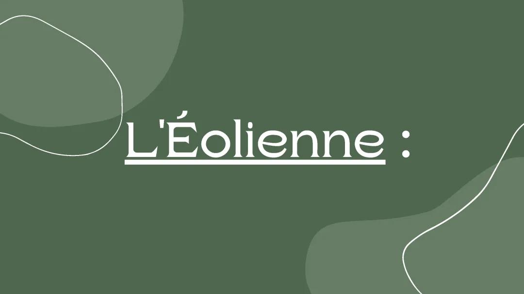 Tout Savoir sur le Fonctionnement des Éoliennes : Schémas et Types d'Éoliennes