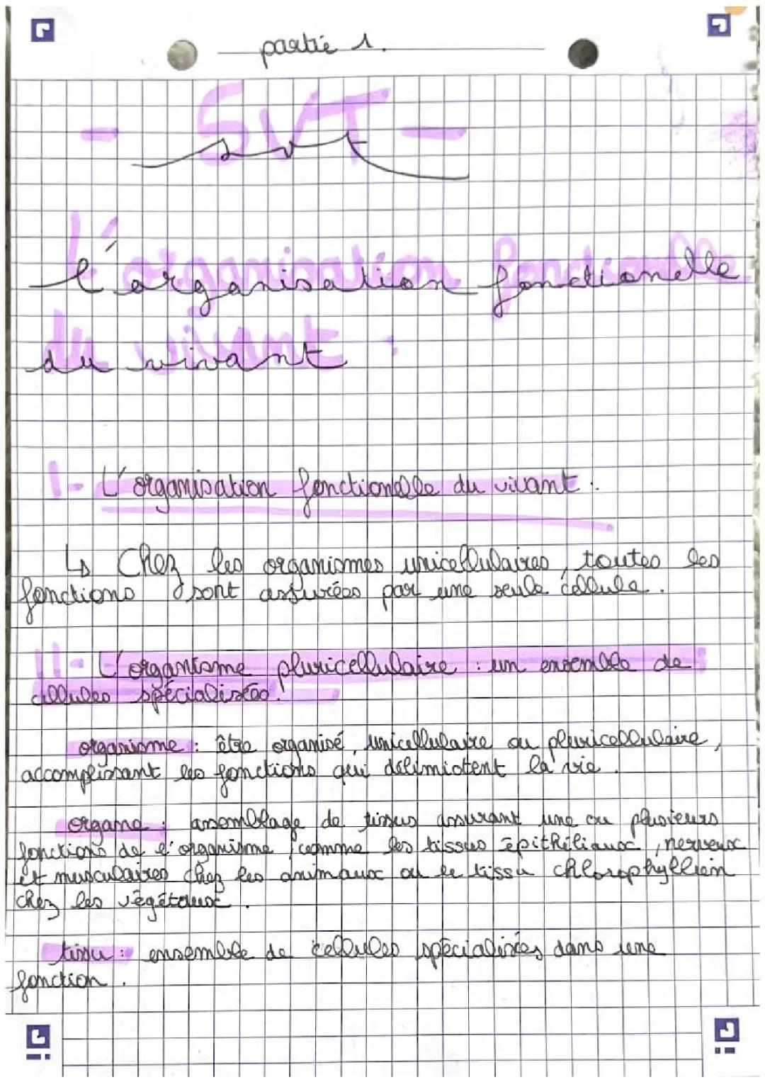 Organisation fonctionnelle du vivant SVT Seconde - Fiche de révision, schémas et exercices