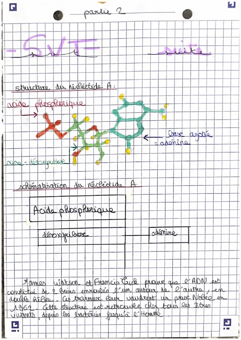 partie 1.
نمهنلممممںیھا
المولے
علم من
du vivant
- Corgantome
cellules spécialiste pluricellulaire
- organisation fonctionelle du vivant
is C