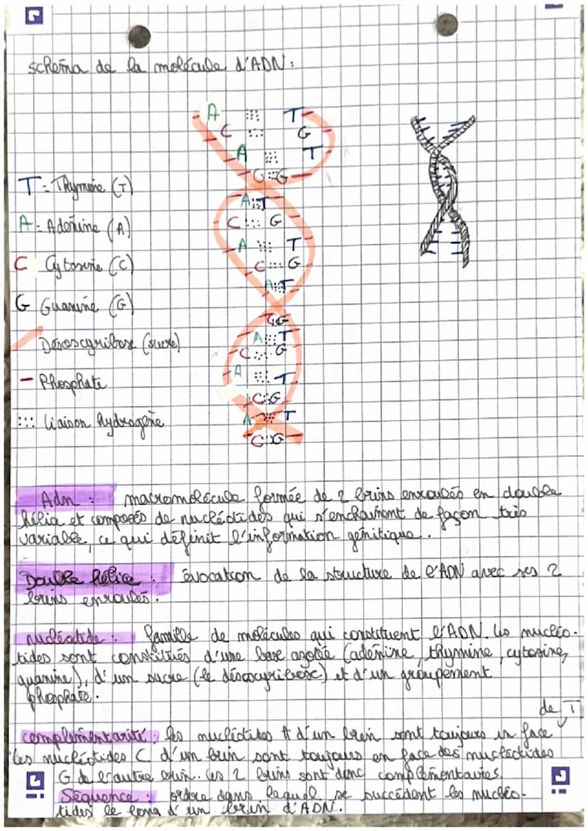partie 1.
نمهنلممممںیھا
المولے
علم من
du vivant
- Corgantome
cellules spécialiste pluricellulaire
- organisation fonctionelle du vivant
is C