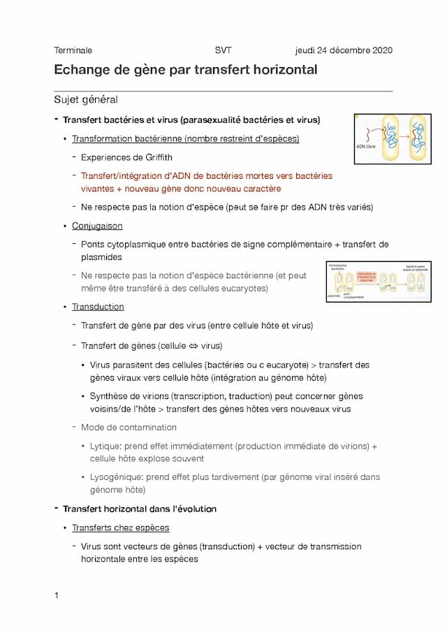 Know Cours 2.1 - Transferts horizontaux thumbnail