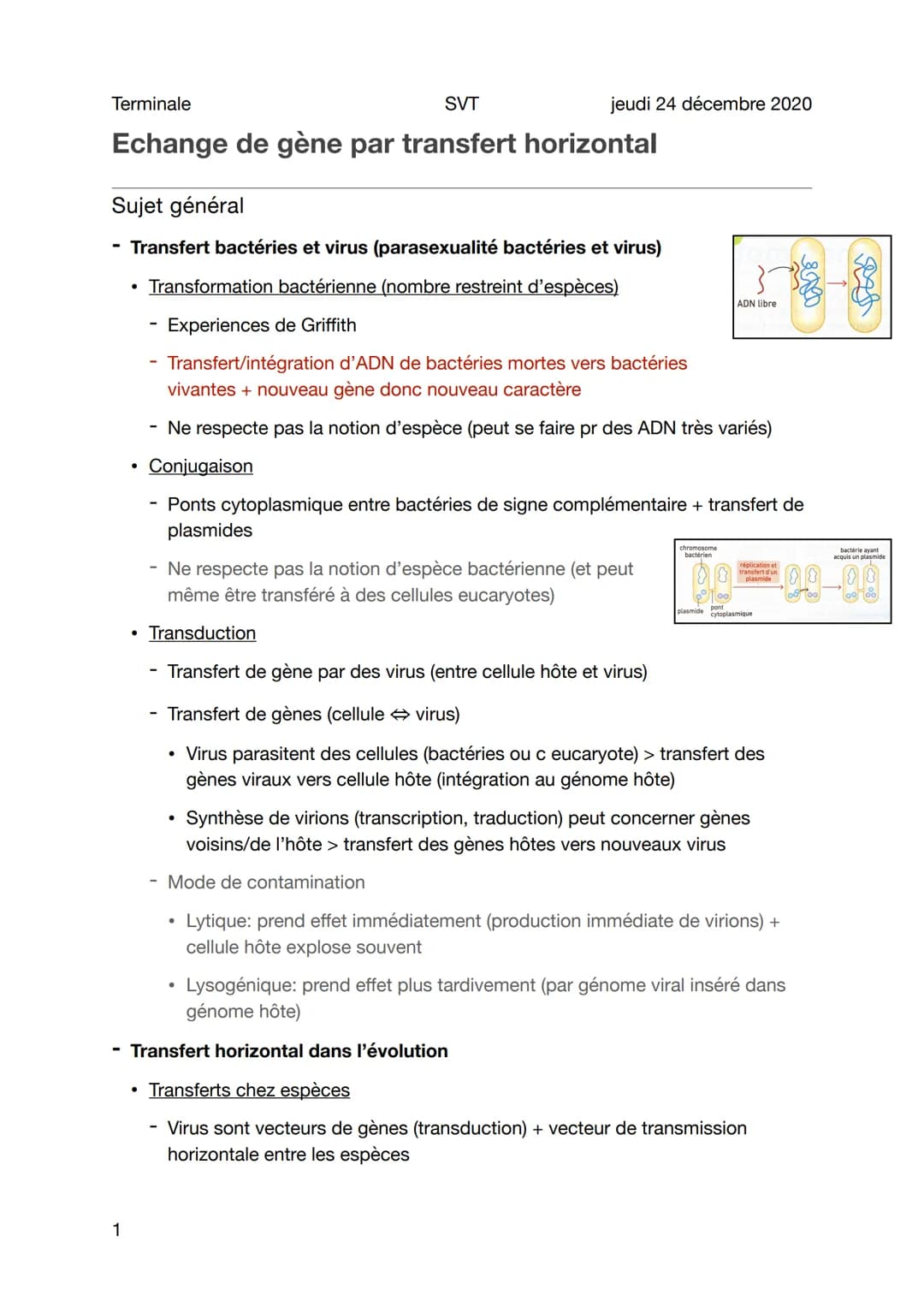 Terminale
SVT
Echange de gène par transfert horizontal
Sujet général
Transfert bactéries et virus (parasexualité bactéries et virus)
Transfo