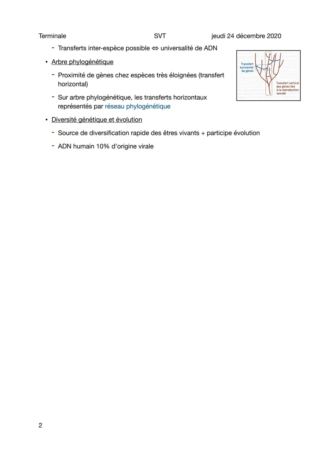 Terminale
SVT
Echange de gène par transfert horizontal
Sujet général
Transfert bactéries et virus (parasexualité bactéries et virus)
Transfo