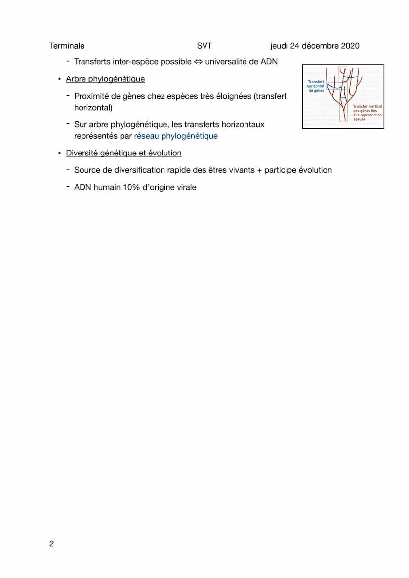 Terminale
SVT
Echange de gène par transfert horizontal
Sujet général
Transfert bactéries et virus (parasexualité bactéries et virus)
Transfo
