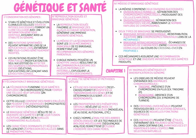 Know Thème 1: Génétique et évolution ( Tle Spé SVT) thumbnail