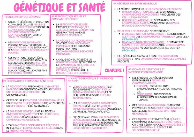 Know Thème 1: Génétique et évolution ( Tle Spé SVT) thumbnail