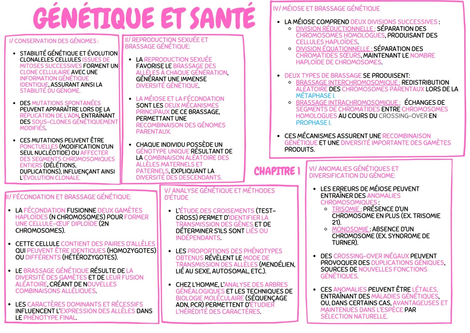 # GÉNÉTIQUE ET SANTÉ

IV/MÉIOSE ET BRASSAGE GÉNÉTIQUE:

* LA MÉIOSE COMPREND DEUX DIVISIONS SUCCESSIVES:
    * DIVISION RÉDUCTRICE : SÉPARAT