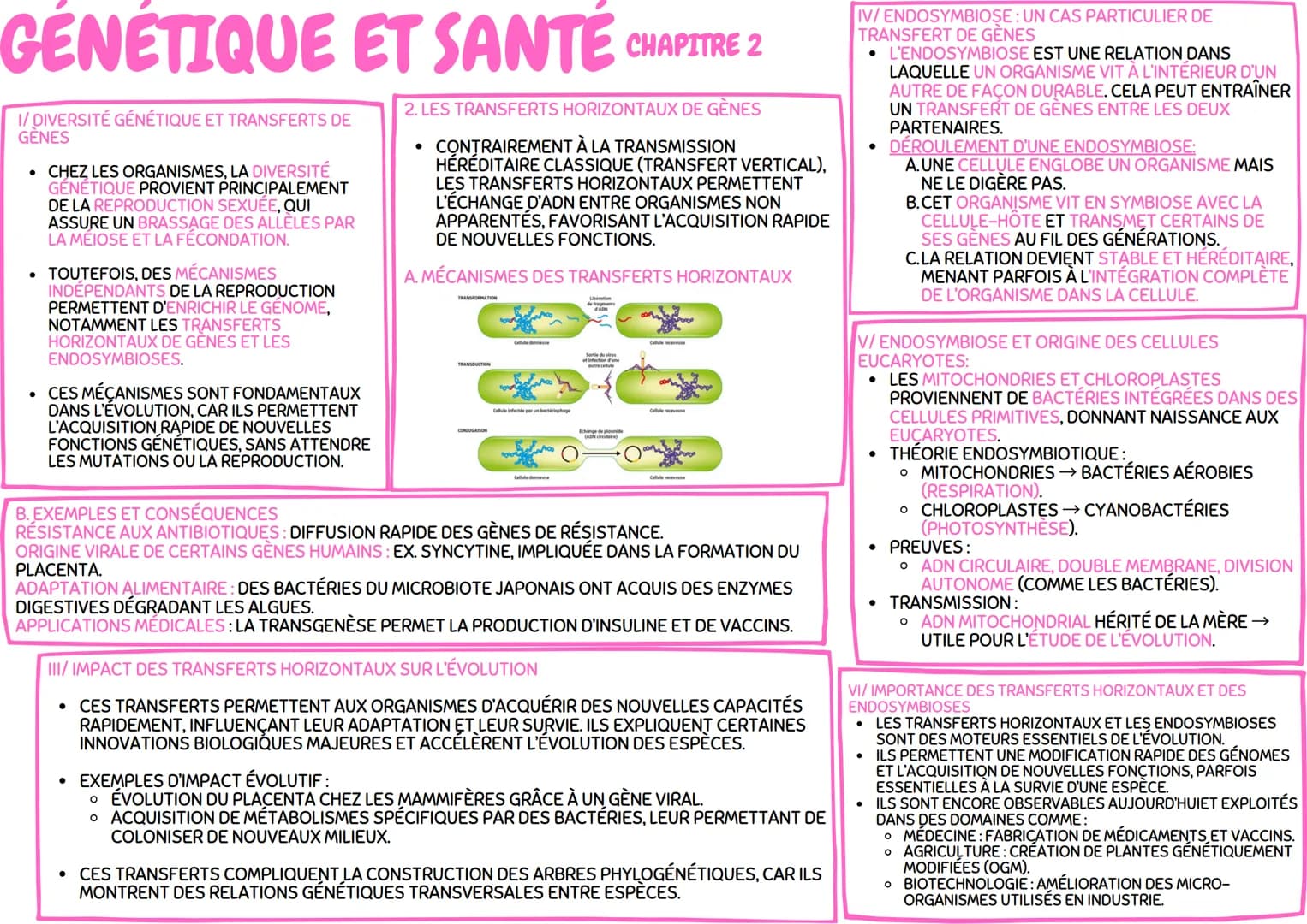 # GÉNÉTIQUE ET SANTÉ

IV/MÉIOSE ET BRASSAGE GÉNÉTIQUE:

* LA MÉIOSE COMPREND DEUX DIVISIONS SUCCESSIVES:
    * DIVISION RÉDUCTRICE : SÉPARAT