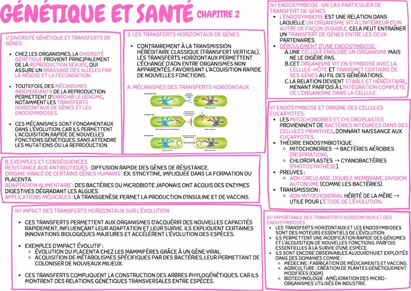 # GÉNÉTIQUE ET SANTÉ

IV/MÉIOSE ET BRASSAGE GÉNÉTIQUE:

* LA MÉIOSE COMPREND DEUX DIVISIONS SUCCESSIVES:
    * DIVISION RÉDUCTRICE : SÉPARAT