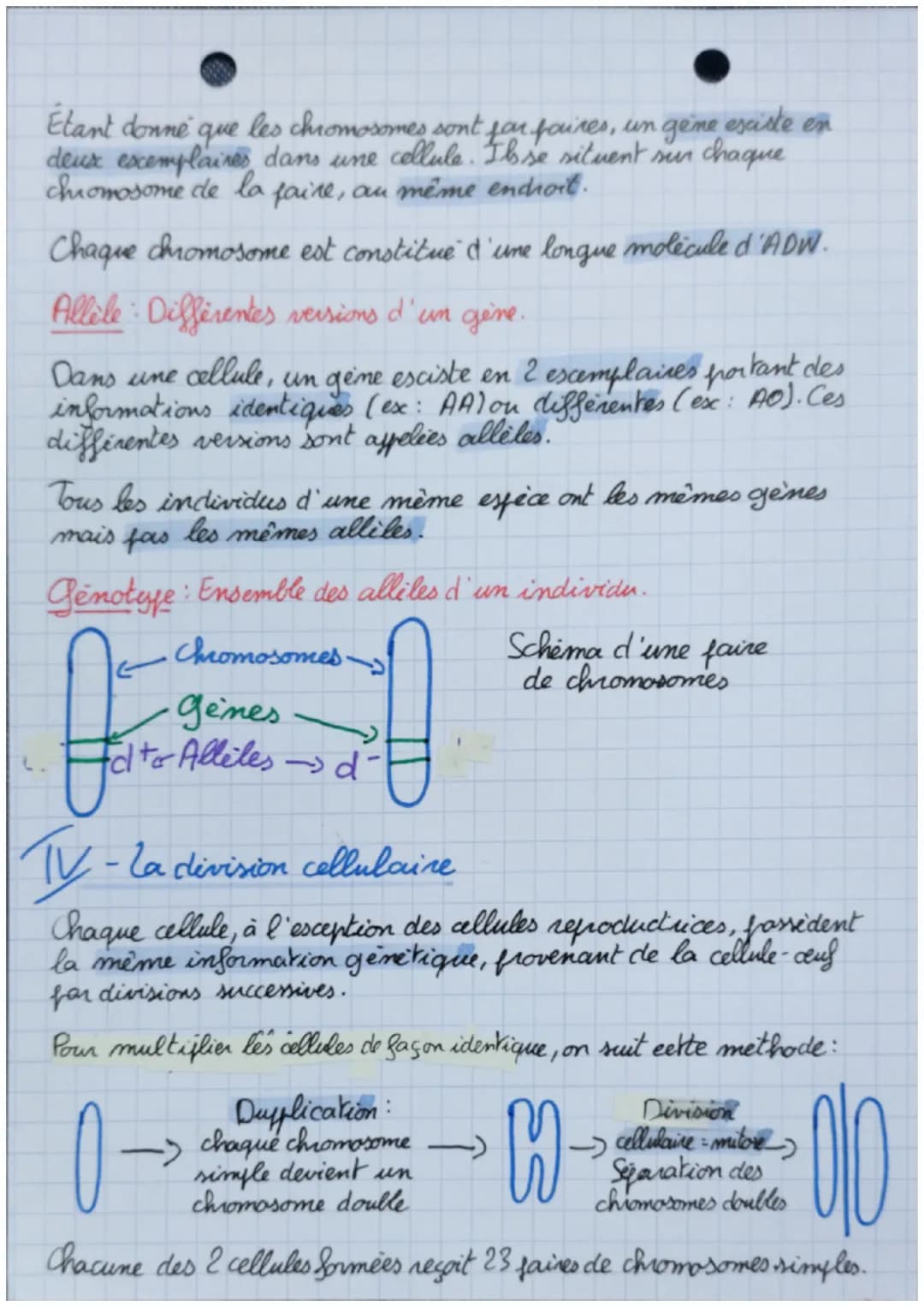 • La
La génétique Chapitre 3
Partie 1
SUT
1- Caractères d'un individu
Les individus possèdent des caractères propres à leur espèce
(caractèr