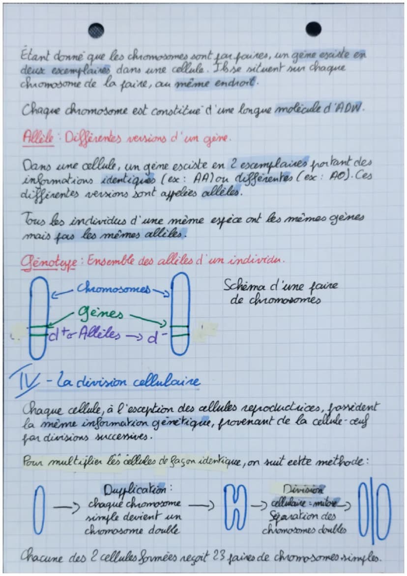 • La
La génétique Chapitre 3
Partie 1
SUT
1- Caractères d'un individu
Les individus possèdent des caractères propres à leur espèce
(caractèr