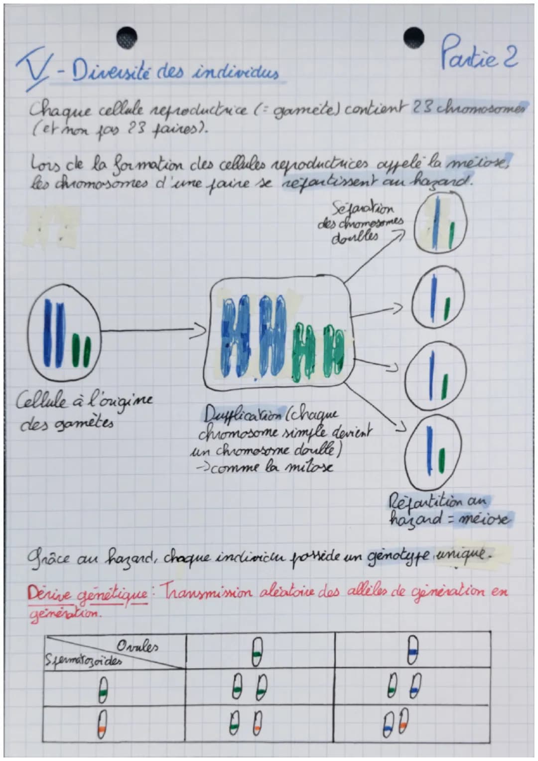 • La
La génétique Chapitre 3
Partie 1
SUT
1- Caractères d'un individu
Les individus possèdent des caractères propres à leur espèce
(caractèr