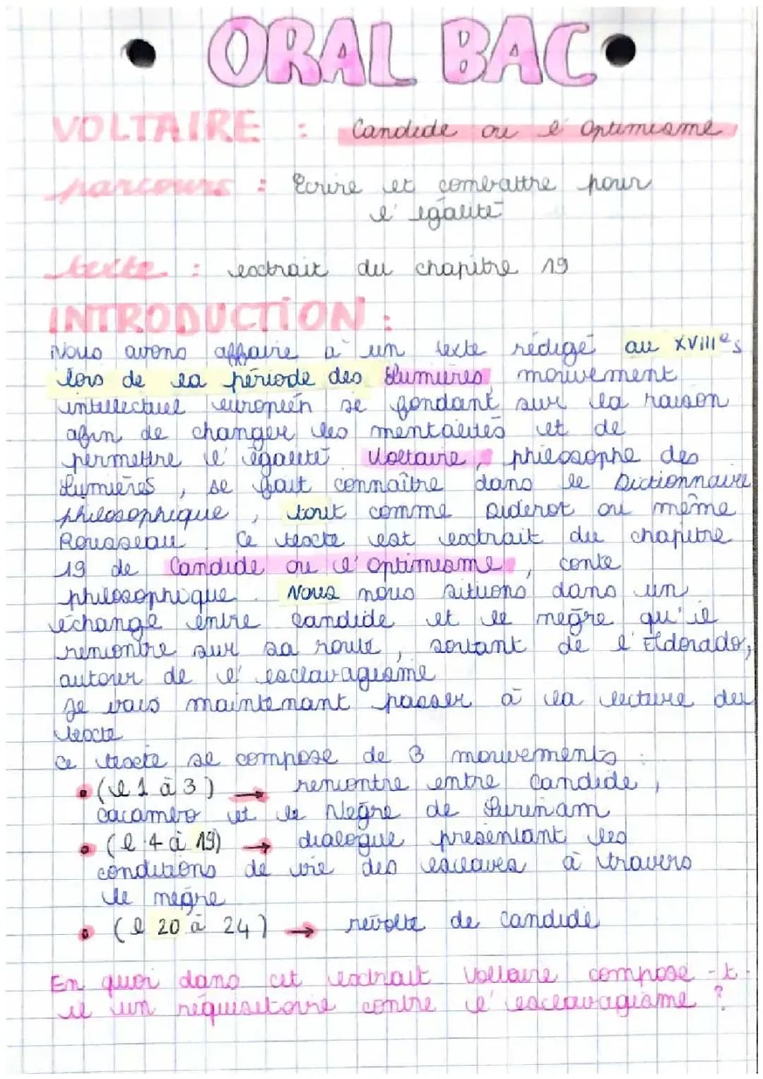Analyse linéaire du chapitre 19 de Candide sur le nègre de Surinam
