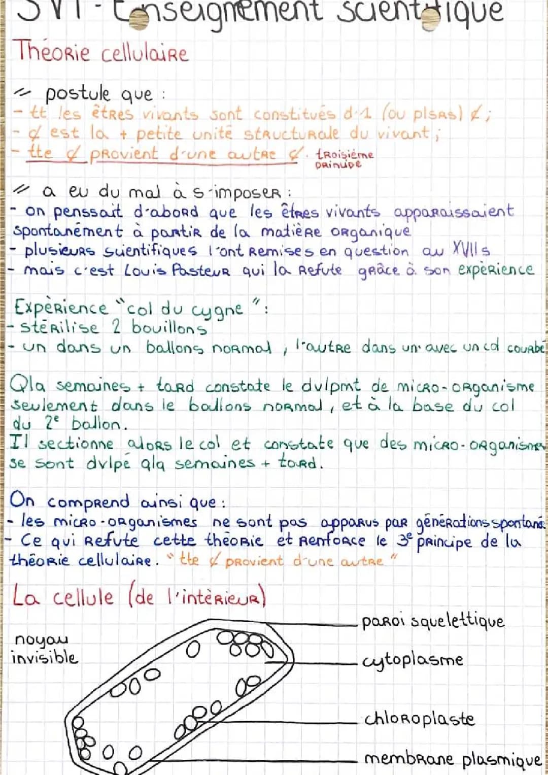 la théorie cellulaire 