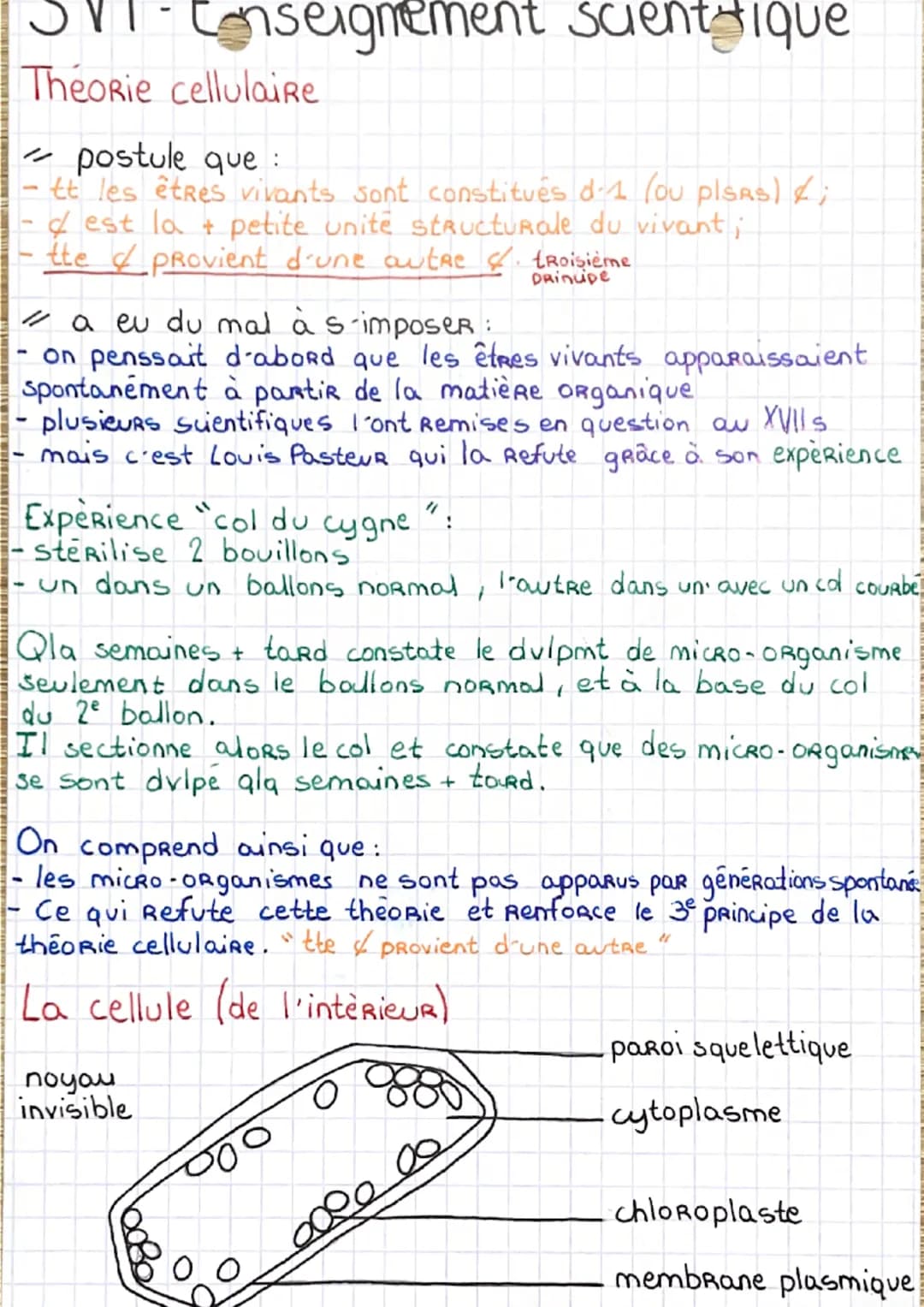 Enseignement scientifique
Theorie cellulaire
- postule que :
tt les êtres vivants sont constitués d´1 (ou plSRs) &;
& est la petite unite st