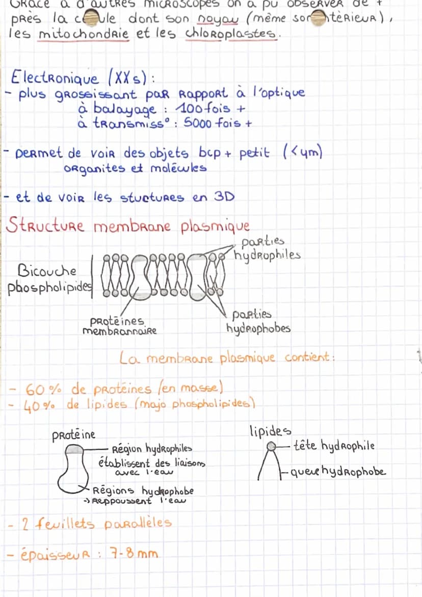 Enseignement scientifique
Theorie cellulaire
- postule que :
tt les êtres vivants sont constitués d´1 (ou plSRs) &;
& est la petite unite st