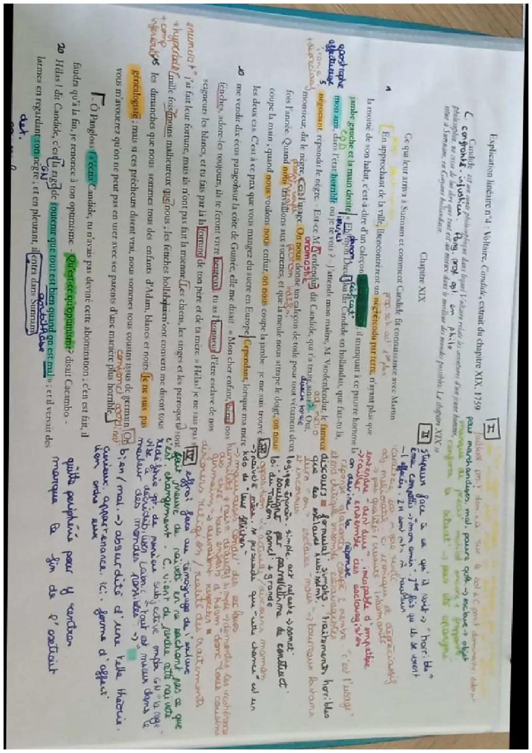 Candide Chapitre 19 : Analyse et Résumé pour les Jeunes