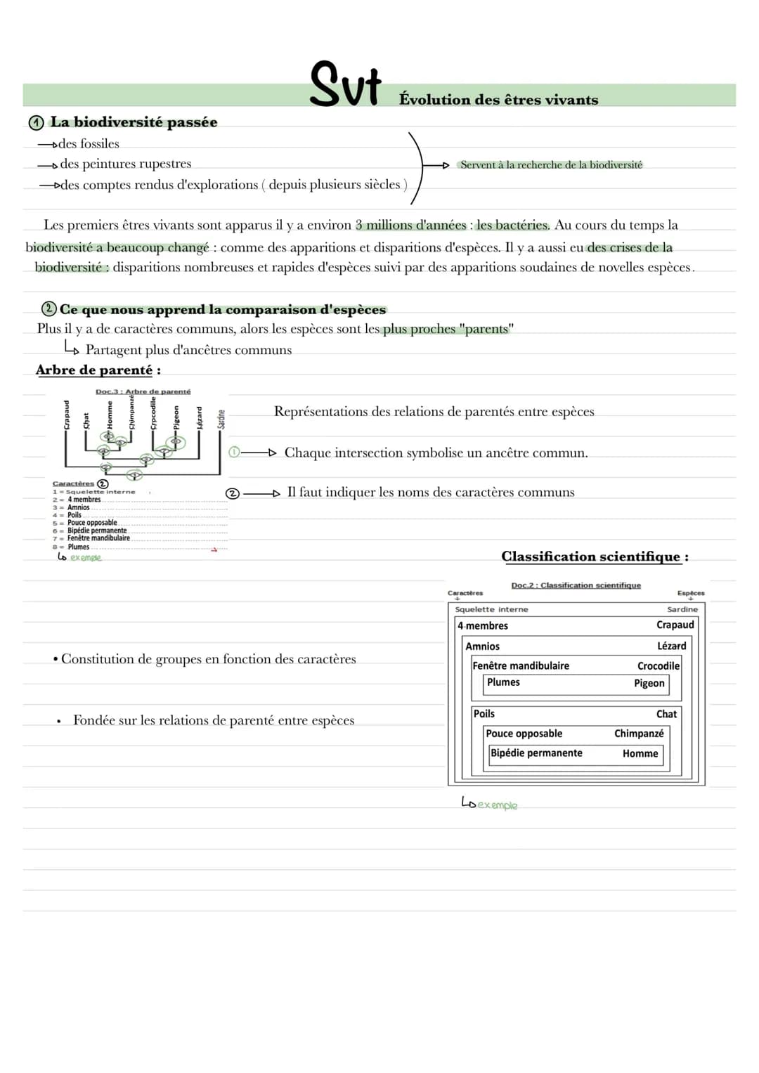 
<p>La biodiversité passée<br />
Depuis plusieurs siècles, nous pouvons étudier la biodiversité passée à travers des fossiles, des peintures