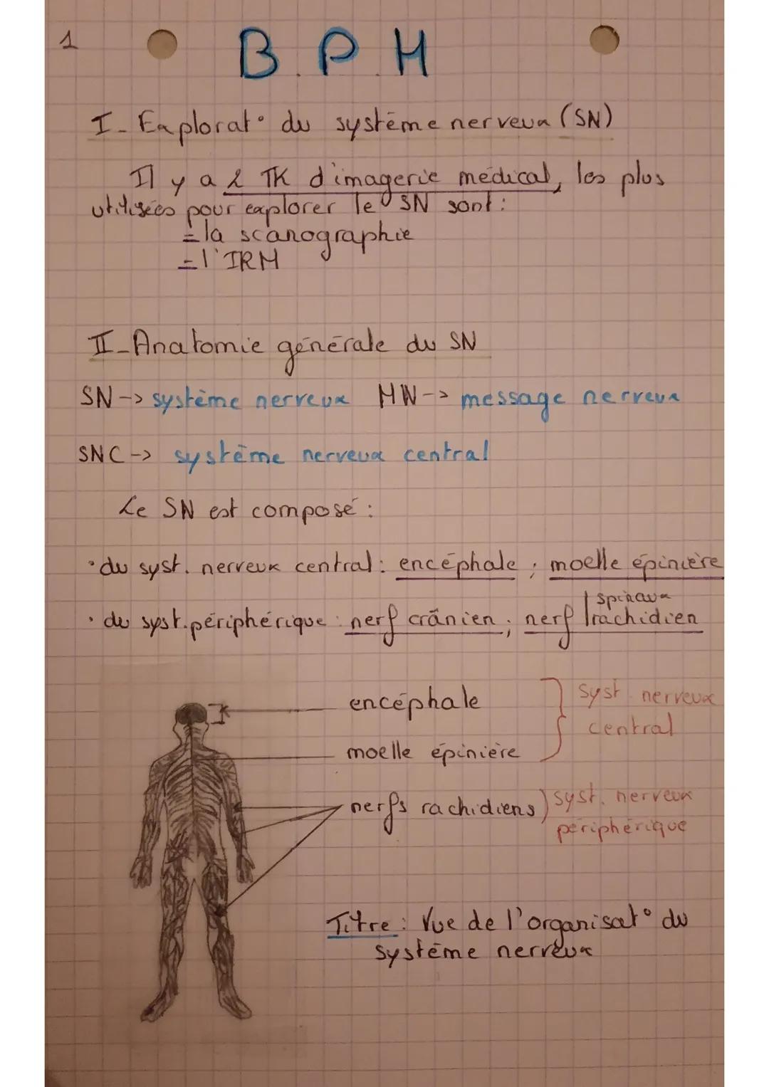 • BPH
I- Explorat" du système
(SN)
Y
a & TK d'imagerie medical, los plus
utilisées pour explorer le SN sont:
la sc
●canographie
=I'IRM
nerve