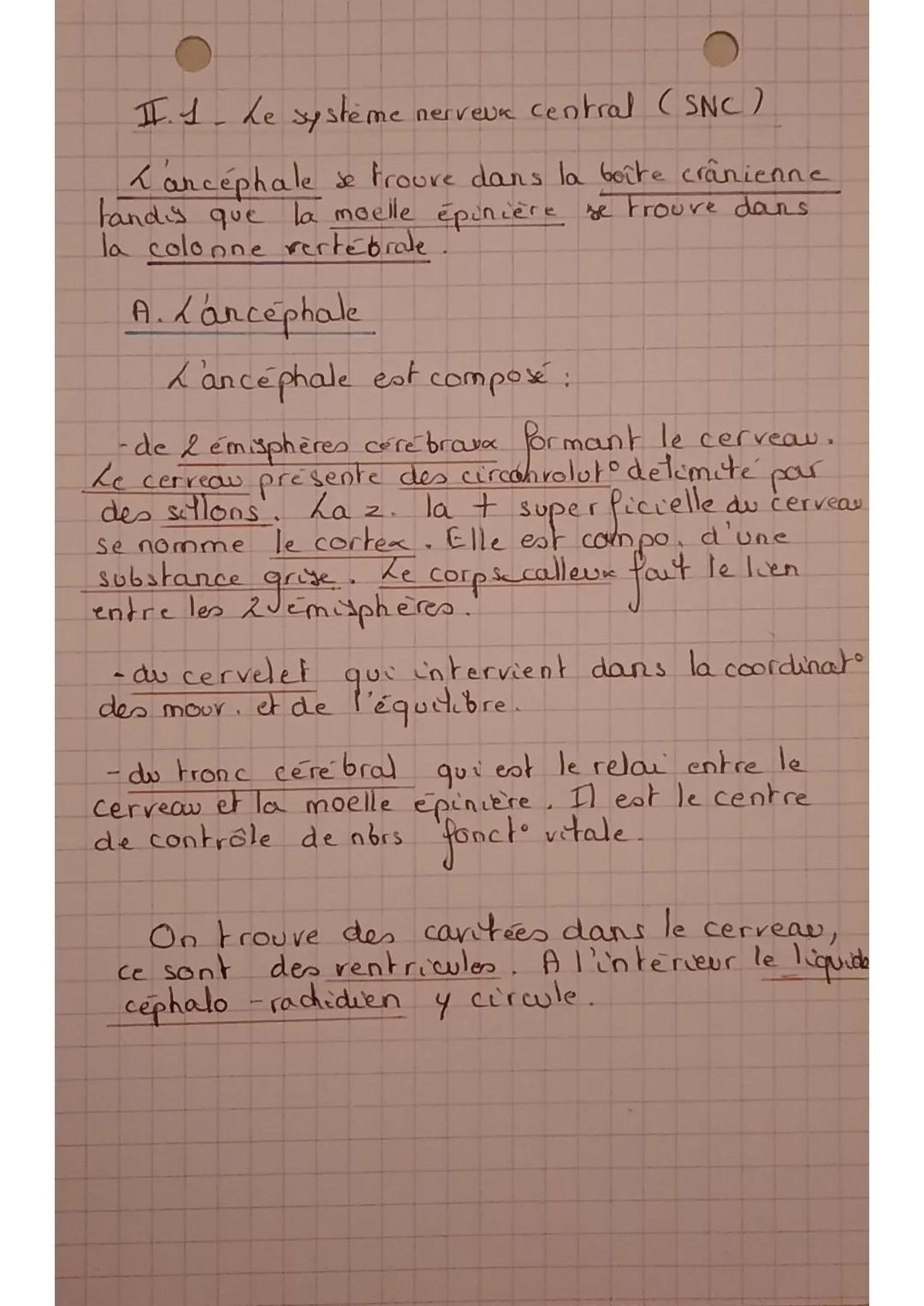 • BPH
I- Explorat" du système
(SN)
Y
a & TK d'imagerie medical, los plus
utilisées pour explorer le SN sont:
la sc
●canographie
=I'IRM
nerve