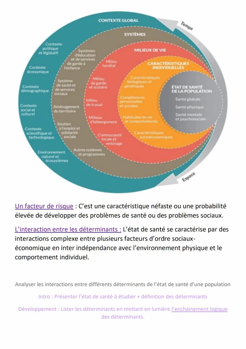 Seas
Séquence 4 : La diversité des déterminants
Déterminant: C'est l'ensemble des facteurs ou éléments qui influencent
positivement ou négat