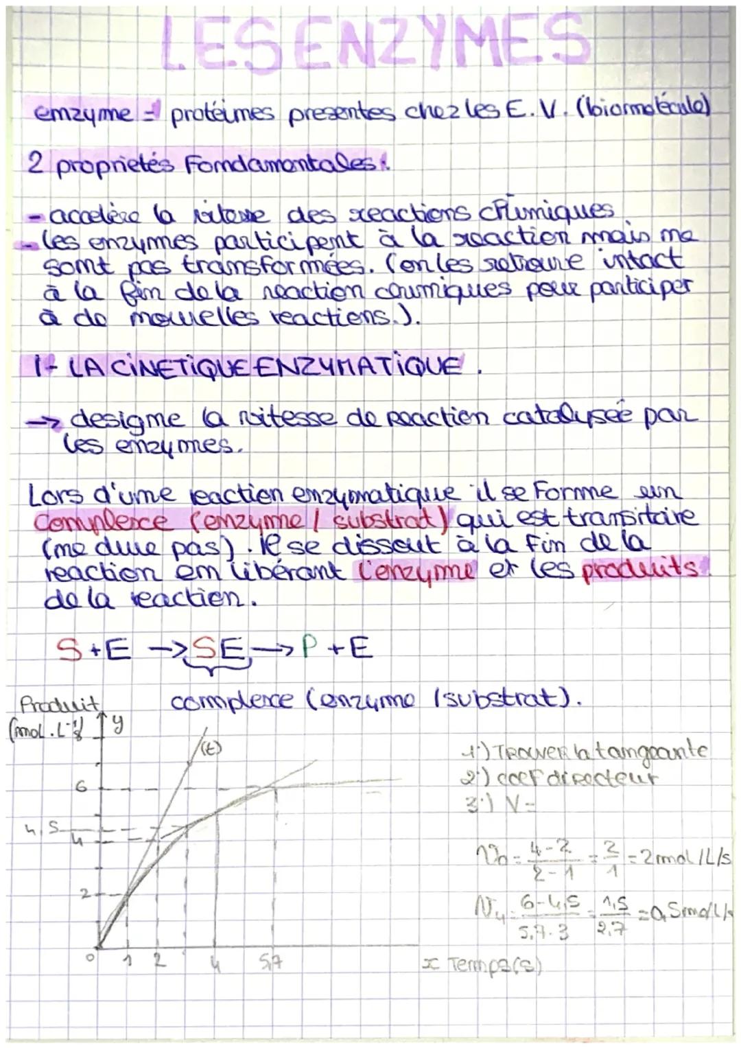LESENZYMES
emzyme proteimes presentes chez les E. V. (biormoléculo)
2 proprietes Fondamentales &
accelere la vitesse des reactions chimiques