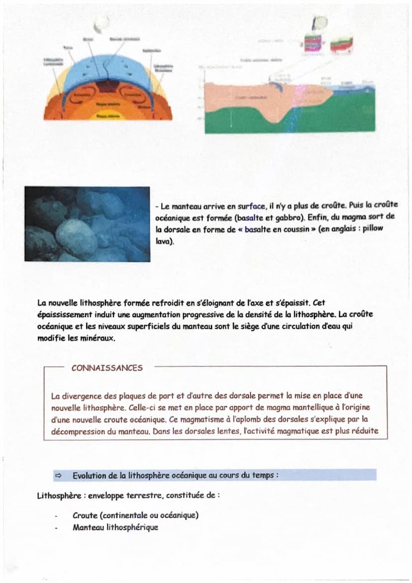 ma
1
Structure du globe:
MANTEAU
(pariatite)
Waghin
LUZ (1)
Schéma bilan des roches :
protro
peide
d=23
crou
accanique
Mise en place de la n