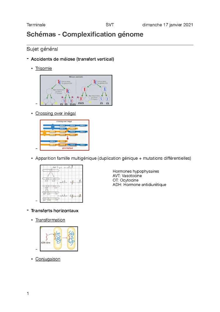 Know Schema - Complexification du génome thumbnail