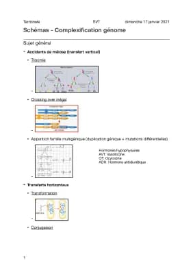 Know Schema - Complexification du génome thumbnail