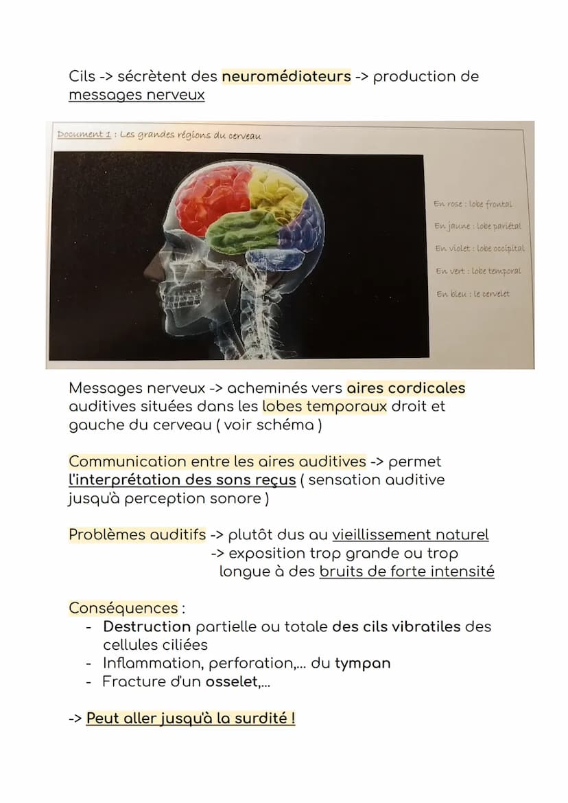 Entendre la musique
Sons -> vibrations de l'air
Oreille humaine -> perçoit sons de fréquence entre 20 Hz
(sons graves) et 20 000 Hz (sons ai